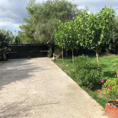 Ancia * Kalpaki (Zakynthos)